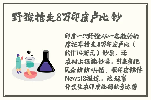 日韩一卡2卡3卡4卡无卡乱码